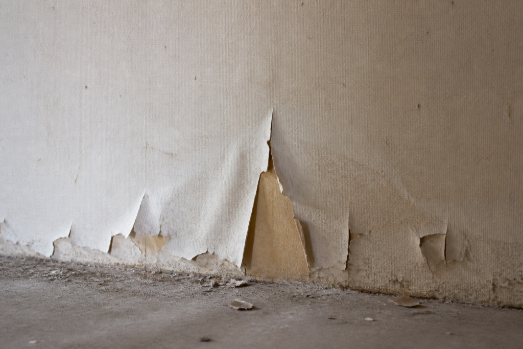 Papier peint cloque sur paroi poussiereuse