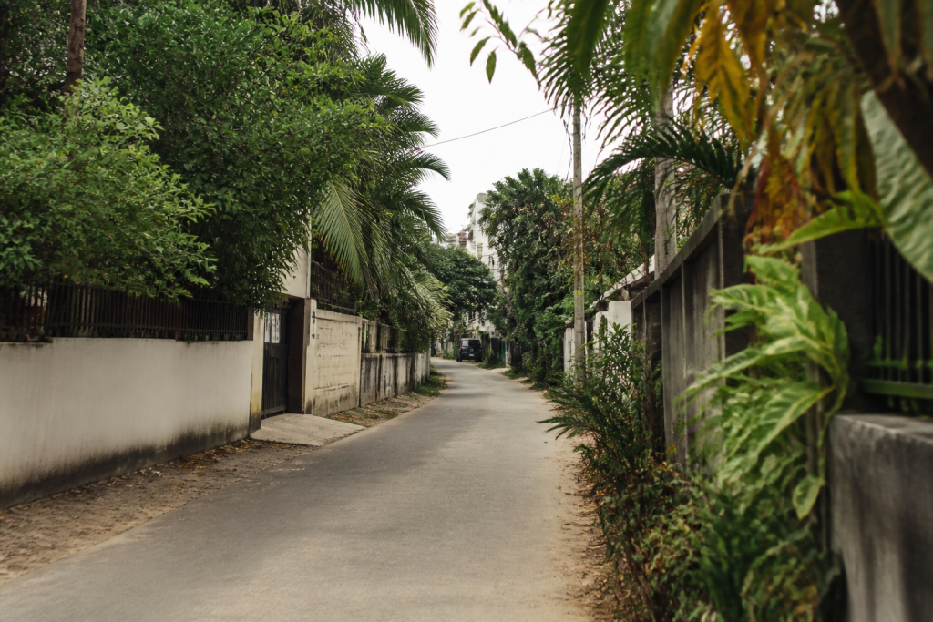 Rues avec maisons et vegetation tropicale
